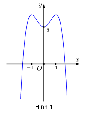 image3.png