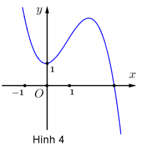 image6.png