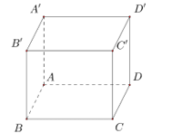 image6.png
