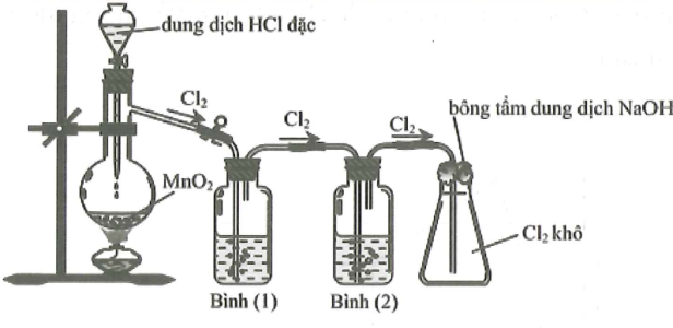 image2.png