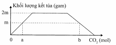 image2.png