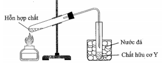image1.png