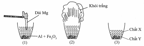 image1.png