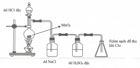 image1.png image1.png