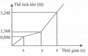 image2.png