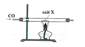 image1.png