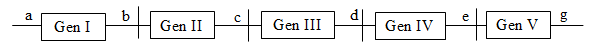 image1.png