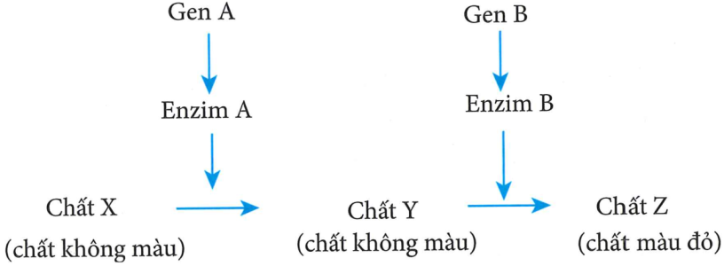 image3.png