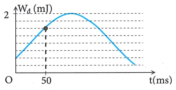 image5.png image5.png