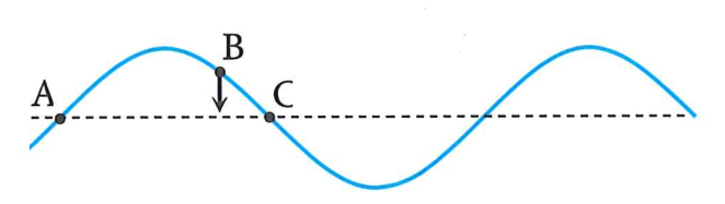 image2.png image2.png