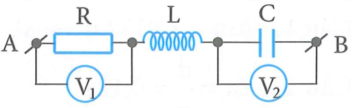 image6.png image6.png
