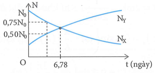 image2.png image2.png