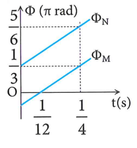 image5.png image5.png