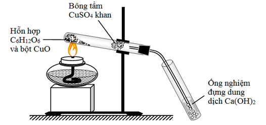image1.png