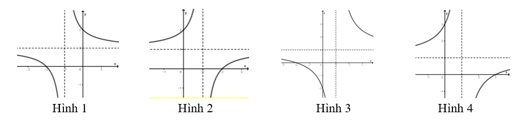 image6.png