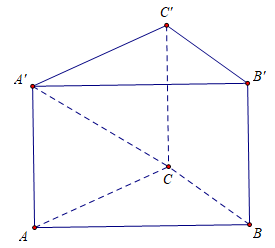 image6.png
