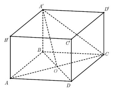 image2.png image2.png