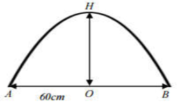 image7.png image7.png