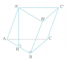 image4.png image4.png