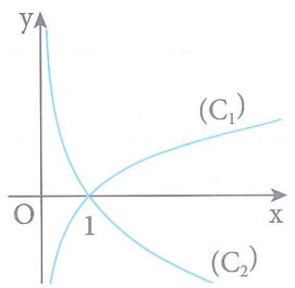 image2.png image2.png