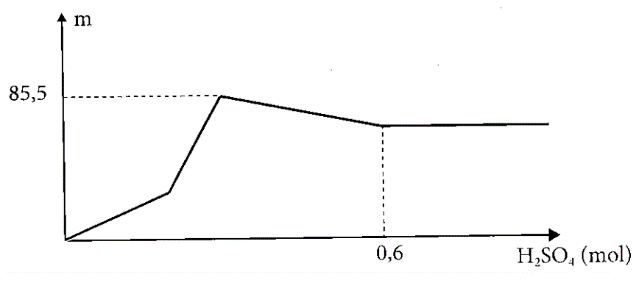 image1.png