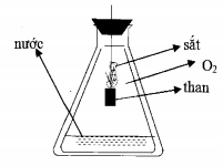 image1.png