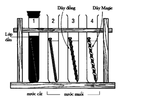 image1.png