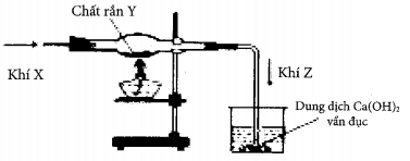image2.png