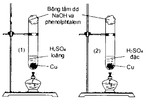 image1.png