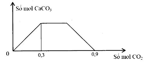 image2.png image2.png