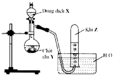 image1.png image1.png