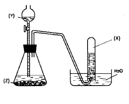 image1.png