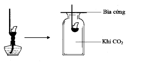image1.png