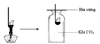 image1.png