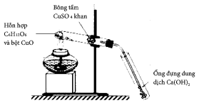 image1.png