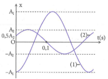 image7.png image7.png