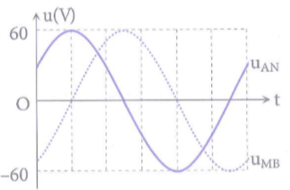 image9.png
