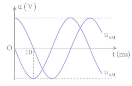 image4.png image4.png