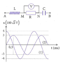 image2.png image2.png