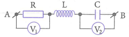 image6.png image6.png