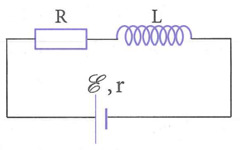 image2.png image2.png