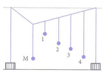 image3.png image3.png