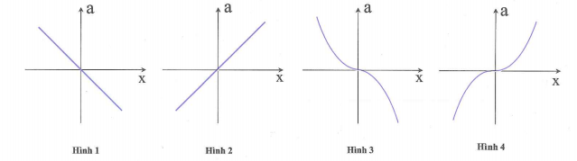 image1.png