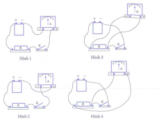image2.png image2.png