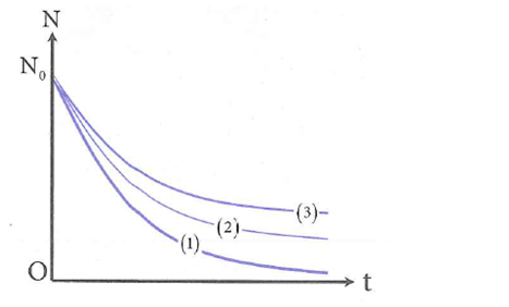 image2.png image2.png