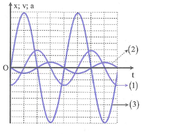 image3.png image3.png