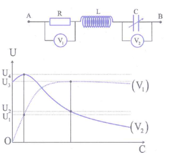 image4.png image4.png