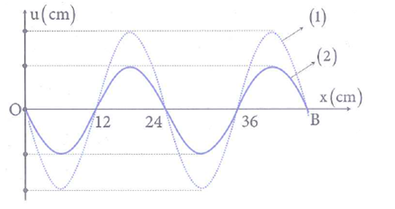 image5.png image5.png