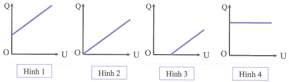 image1.png