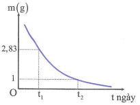 image2.png image2.png